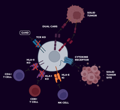 武田再度加码“被抛弃”的细胞疗法，CAR-NK或将在2029问世